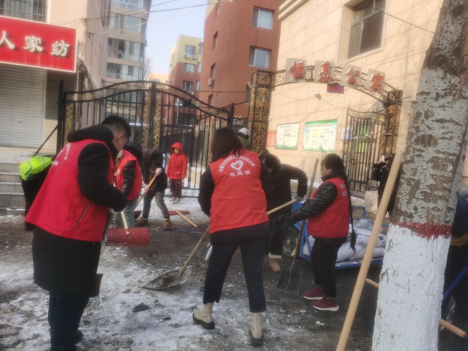 1.29除冰志願行 聚力暖人心——金創供應鏈公司黨支部主題黨日活動圖2.jpg